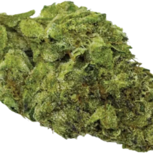 Ligth Assist Premium